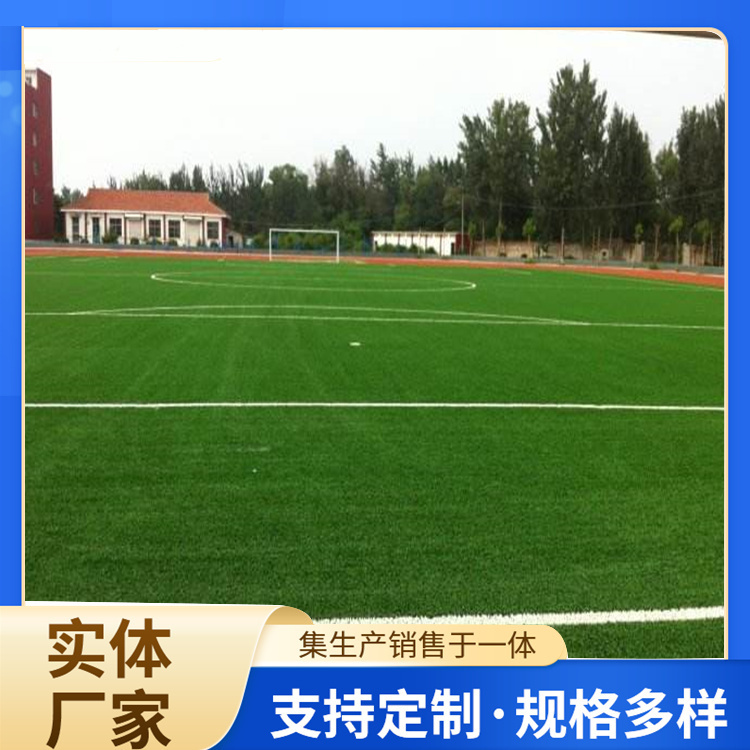 阿拉尔市硅PU人造草坪 - 方案